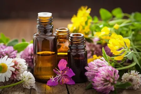Truly Scent-sational