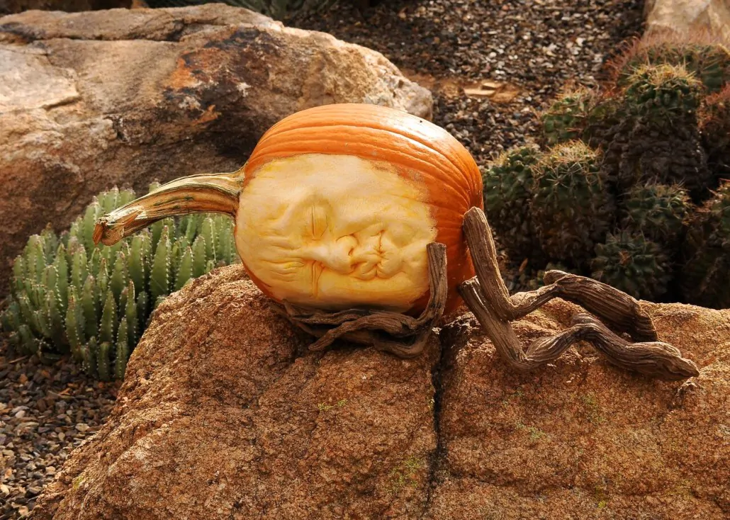 Enchanted Pumpkin Garden | October 19th-28th
