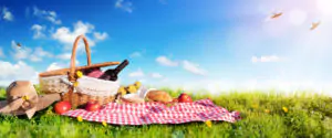 Life's a Picnic!